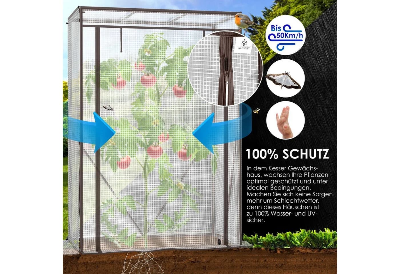 KESSER Premium Tomatengewächshaus Foliengewächshaus mit Aufrolltür - Bild 3