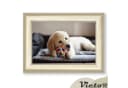 Victor (Zenith) Bilderrahmen Monet Gold Beige Art Deco Bild 4