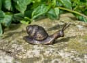 IDYL Dekofigur Bronze-Skulptur Schnecke mini Bild 5