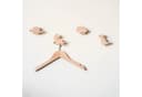 ScandiHooks Wandhaken Dinosaurier 4er Set Eichen-Massivholz Bild 1