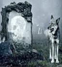 JACK Bettwäsche Microfaser Wolf Guard Grau 2-teilig Bild 3