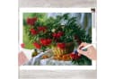 GOLDEN Kreativset Diamond Painting Zubehör Weihnachten Blumenkorb Bild 2