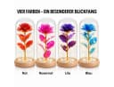 GOLDEN Ewige Rose in Glaskuppel mit LED-Licht Rosa/Gold Bild 1