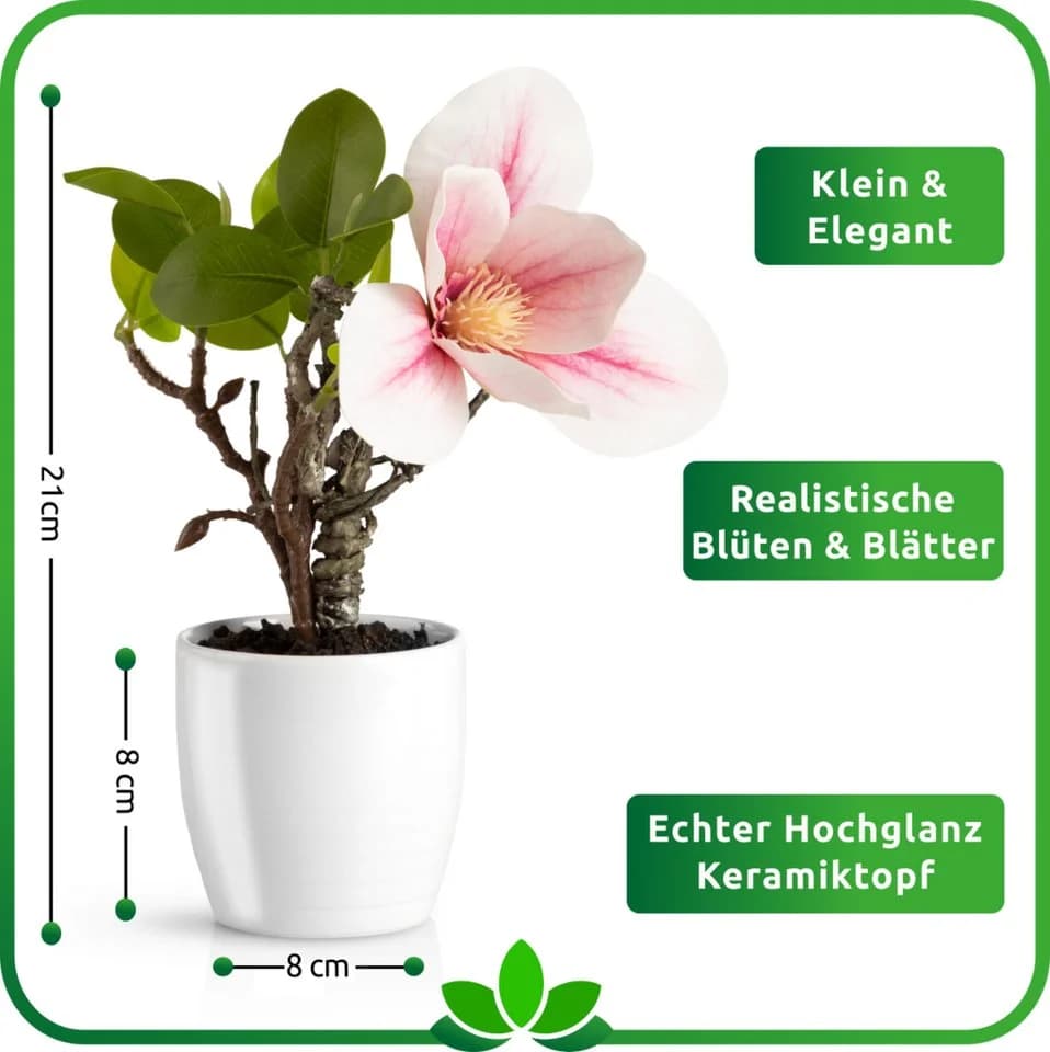 PASCH Kunstorchidee 3er Set Hochglanz-Keramiktopf Weiß-Rosé - Bild 4