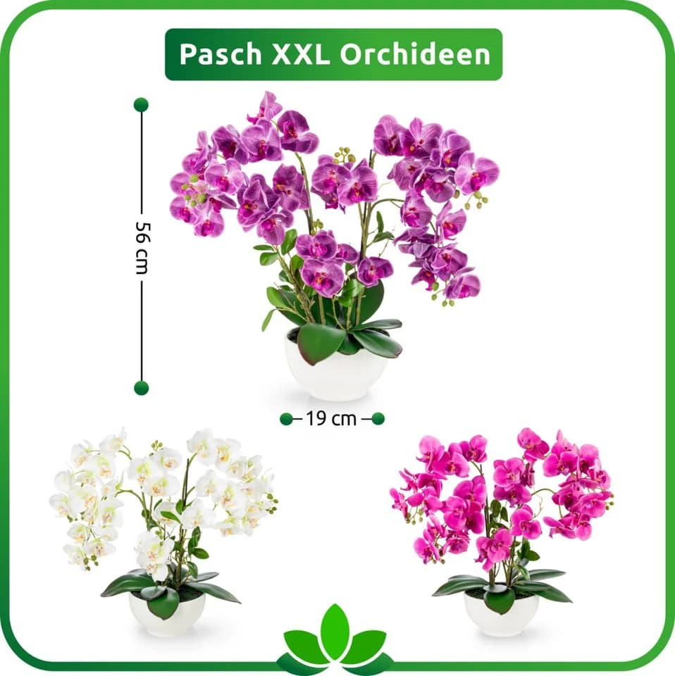 PASCH XXL Kunstorchidee 56cm in Hochglanz-Keramiktopf Lila - Bild 5