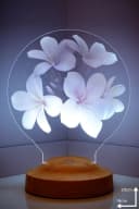 Geschenkelampe LED Nachttischlampe Plumeria Blumen 3D mehrfarbig Bild 1