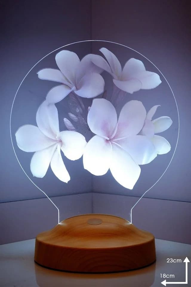 Geschenkelampe LED Nachttischlampe Plumeria Blumen 3D mehrfarbig