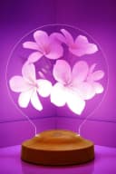 Geschenkelampe LED Nachttischlampe Plumeria Blumen 3D mehrfarbig Bild 3