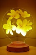 Geschenkelampe LED Nachttischlampe Plumeria Blumen 3D mehrfarbig Bild 4