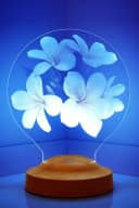 Geschenkelampe LED Nachttischlampe Plumeria Blumen 3D mehrfarbig Bild 5