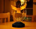 LED Nachttischlampe Hogwarts Hedwig Harry Potter 3D Vision Nachtlicht 7 Farben Bild 1