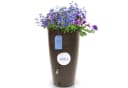 YourCasa Regentonne 240 Liter Aquasplash Braun Messing Wasserhahn Bild 2