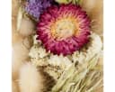 H. Andreas Belles fleurs Trockenblumenkranz Mehrfarbig Handgefertigt Bild 4