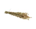 Florists Products Trockenblume Zittergras Grün 60cm Bild 3