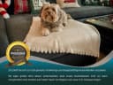 ZOLLNER Wohndecke 130x170 cm Polyester Beige Kuscheldecke Bild 1