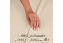 STUDIO Spannbettlaken Basic Creme 100% Baumwolle OEKO-TEX 100 Jersey Bild 5