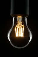 Segula LED Glühlampe Spiegelkopf E27 Warmweiß Dimmbar Silber Bild 1