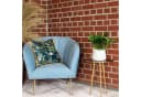 Flowerbox Zimmerpflanze Monstera 'Monkey' Pflegeleicht Bild 3