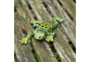 Moritz Dekofigur Frosch Gusseisen Grün 22 cm Bild 1