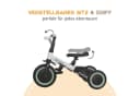 Bronea Dreirad FunCycle 5-in-1 mit Schubstange ab 1,5 Jahr Bild 3