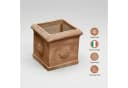 Teramico Blumentopf Terrakotta Cubo Rosone 30cm frostfest Bild 5