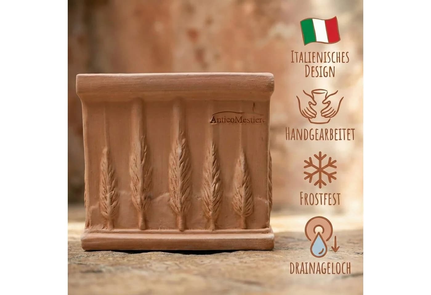 Teramico Blumentopf Quadro Cipressi 25 cm Terrakotta - Bild 3