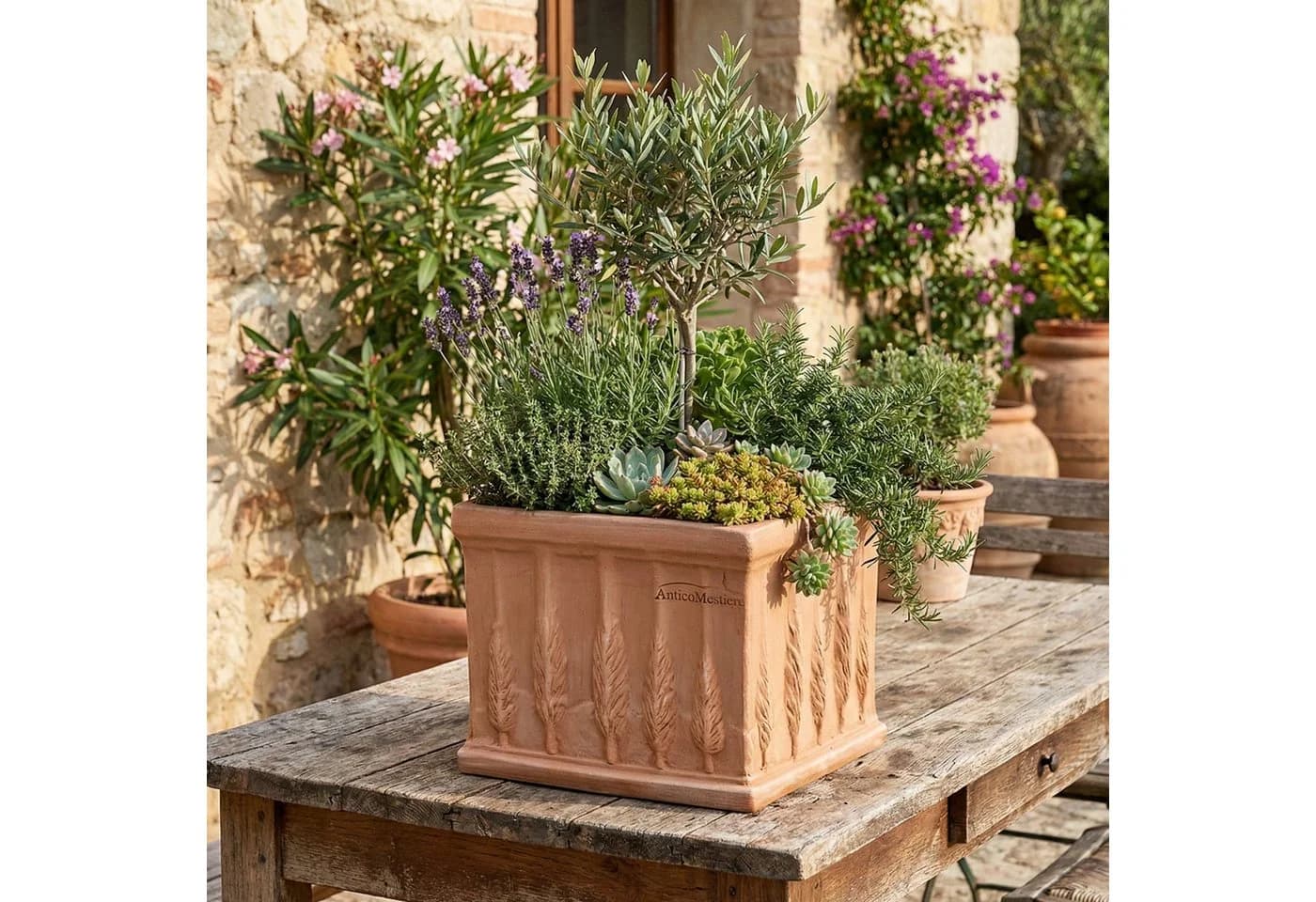 Teramico Blumentopf Quadro Cipressi 25 cm Terrakotta - Bild 4