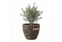 Teramico Blumentopf Egg Pot Lava Braun Keramik Bild 2