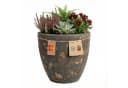 Teramico Blumentopf Egg Pot Lava Braun Keramik Bild 4