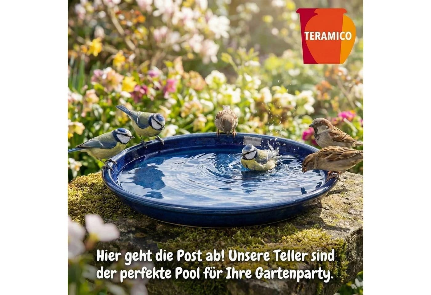 Teramico Blumentopfuntersetzer Keramik Royal Blau Ø 30 cm - Bild 5