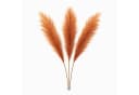Layba Pampasgras Deko 3 Stiele Terracotta Seide Bild 2