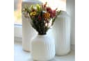Layba Trockenblumenstrauß Set Boho Stil 5er Bouquet Bild 3