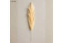Layba Künstliches Pampasgras 3er Set Beige Creme 100 cm Bild 1
