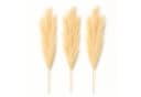 Layba Künstliches Pampasgras 3er Set Beige Creme 100 cm Bild 2