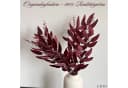 LAYBA Kunst-Eukalyptus Zweige Burgund 3er Set Bild 1