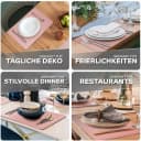 Loco Bird Platzset 4er Set Kunstleder Rosa Lederoptik Bild 4