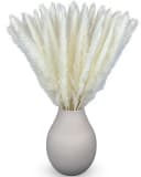 Trockenblumen Pampasgras Weiß 50 cm 15 Stück Boho Deko Bild 2