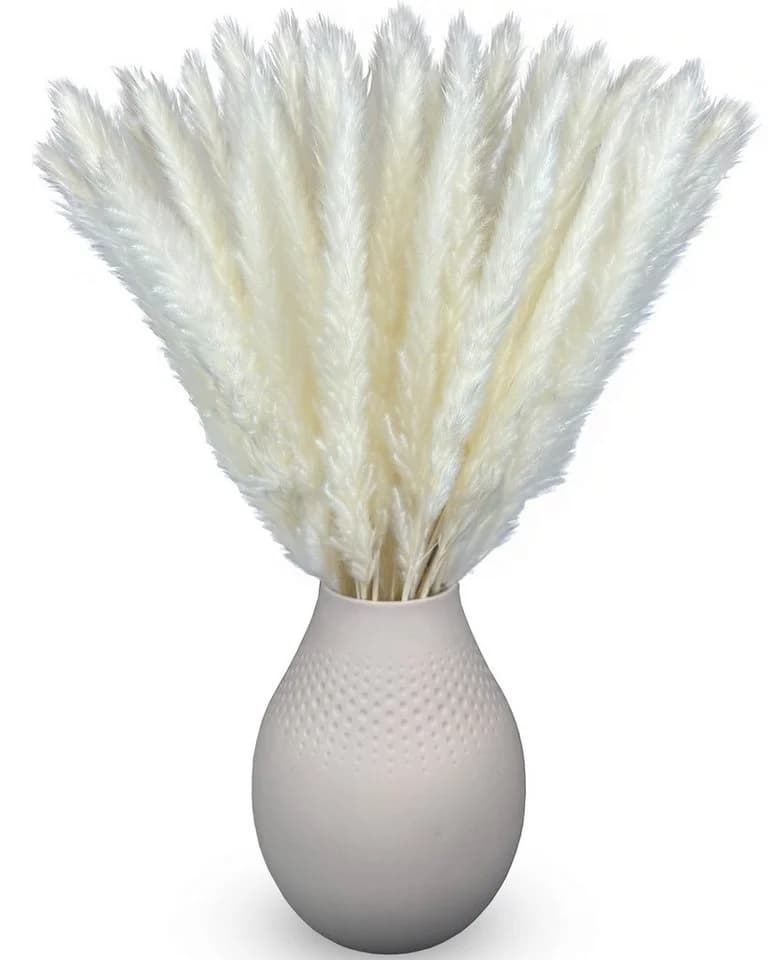 Trockenblumen Pampasgras Weiß 50 cm 15 Stück Boho Deko - Bild 2