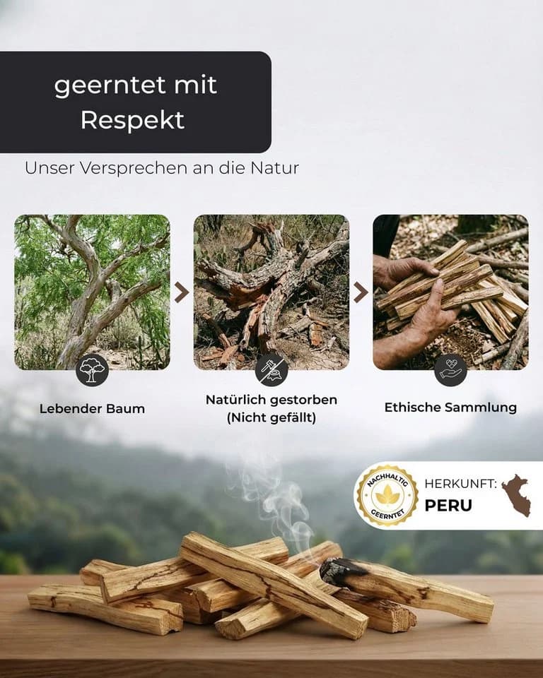 Räucherstäbchen-Halter aus Palo Santo Holz - Bild 5
