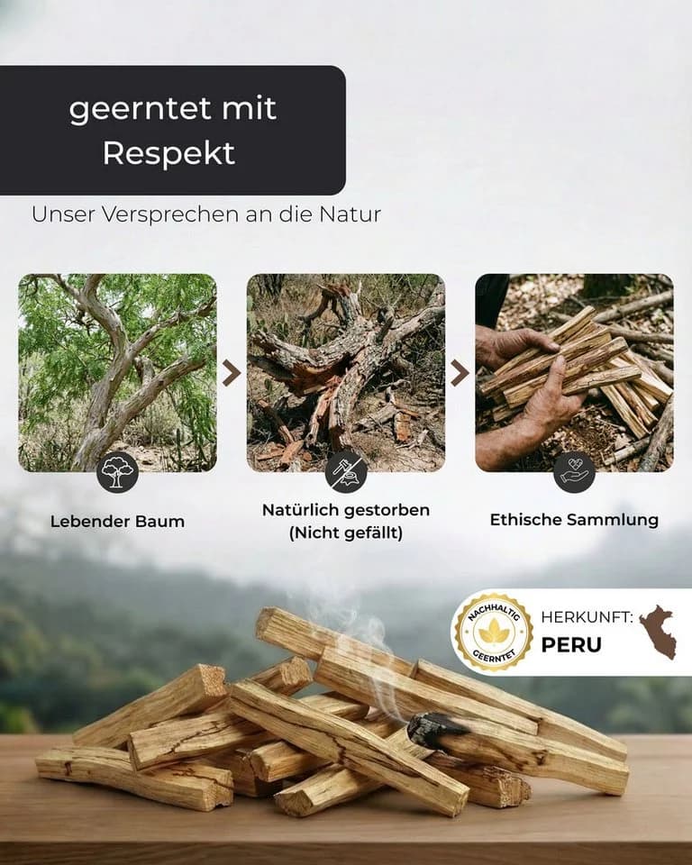Incensera Palo Santo Räucherholz 8 Duftholz Sticks 10 cm für Ausräuchern Holz - Bild 5