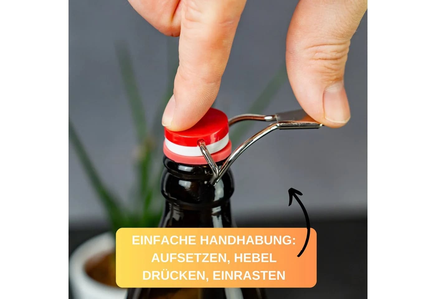 Thiru Flaschenverschluss 3er Set mit Hebel & Silikondichtung - Bild 4