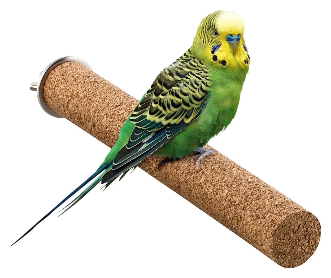 Kork-Deko.de Vogelspielplatz 2er-Pack Vogelsitzstangen aus Presskork, Zum Spielen und Knabbern - Bild 4