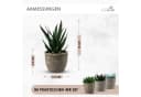 Coradoma Kunstpflanzen Mini Set Grau Modern Dekoration Bild 1