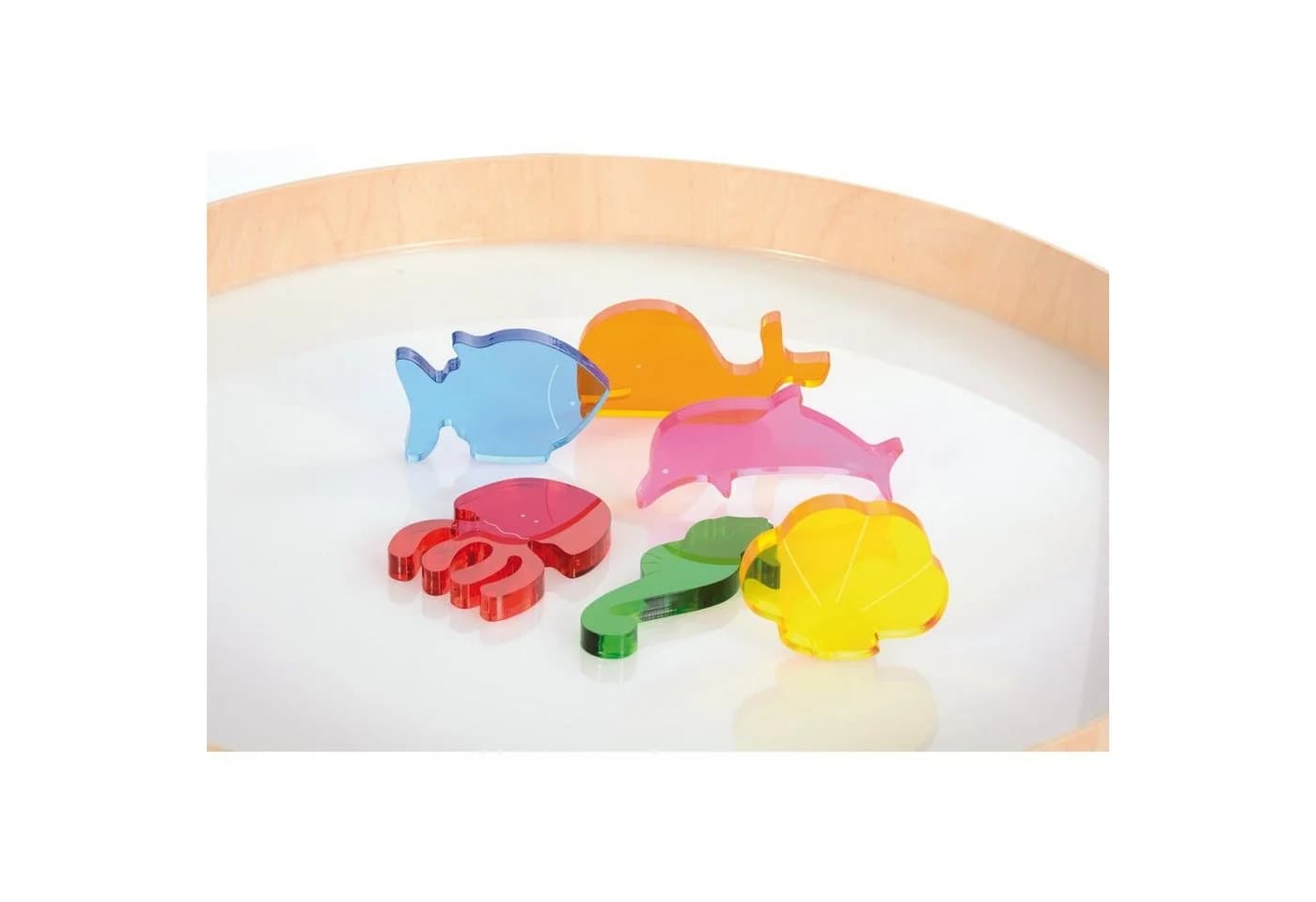 EDUPLAY Lernspielzeug Acryl Meerestiere 6-teilig