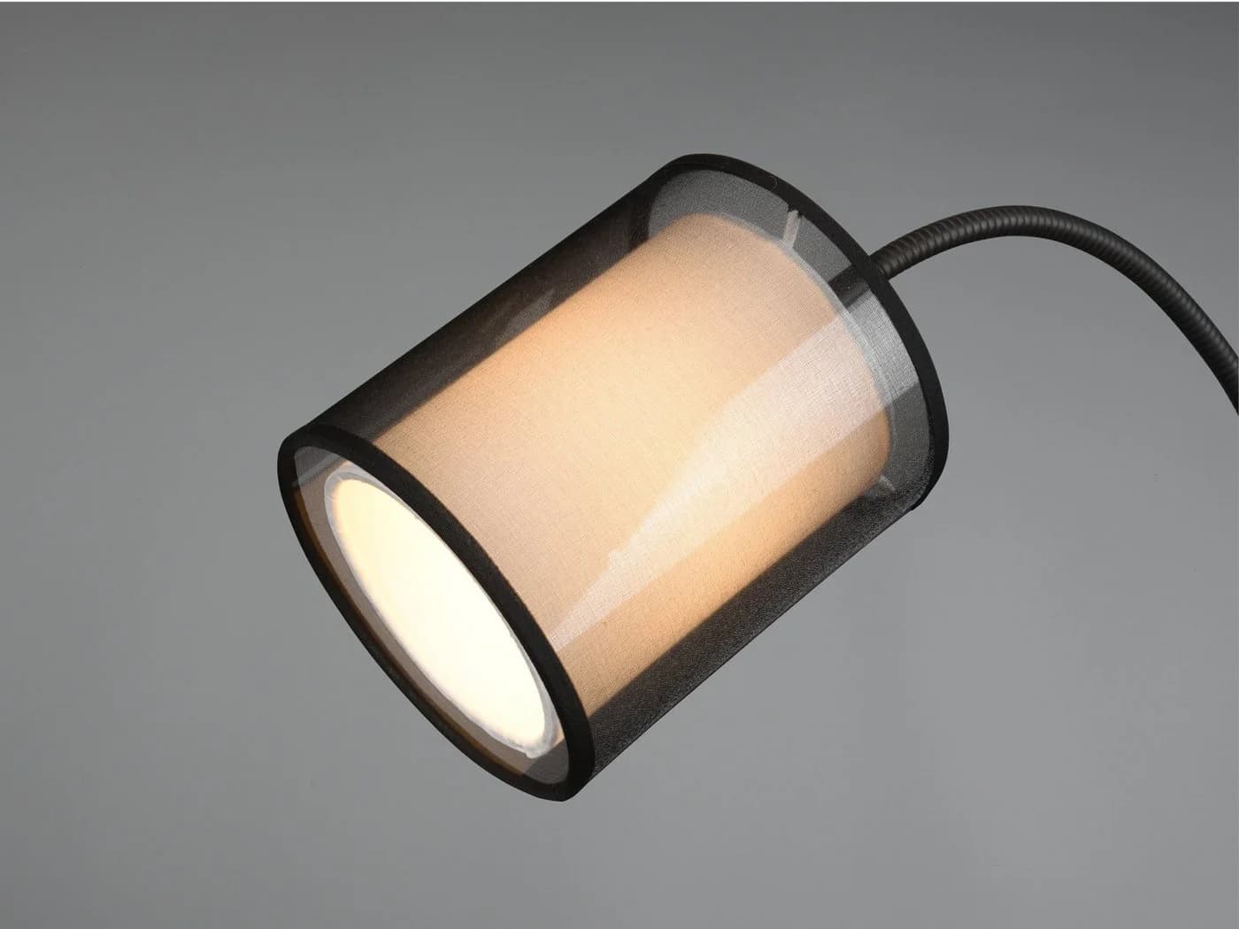 TRIO Leuchten LED Stehlampe mit Lesearm und Dimmfunktion, Warmweiß - Bild 5