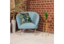 Flowerbox Zimmerpflanze Bogenhanf Sansevieria trifasciata Black Coral Bild 3
