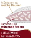 EVAN BROWNS 3-Kammer-Kopfkissen Daunen & Federn 80x80 cm Bild 1