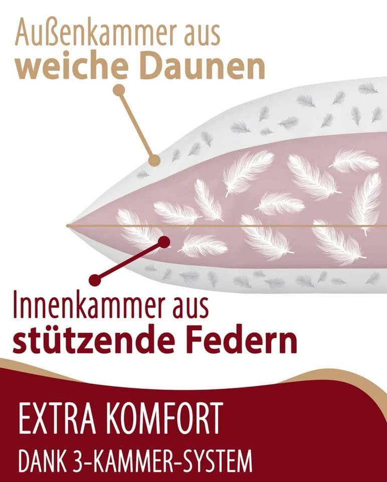 EVAN BROWNS 3-Kammer-Kopfkissen Daunen & Federn 80x80 cm