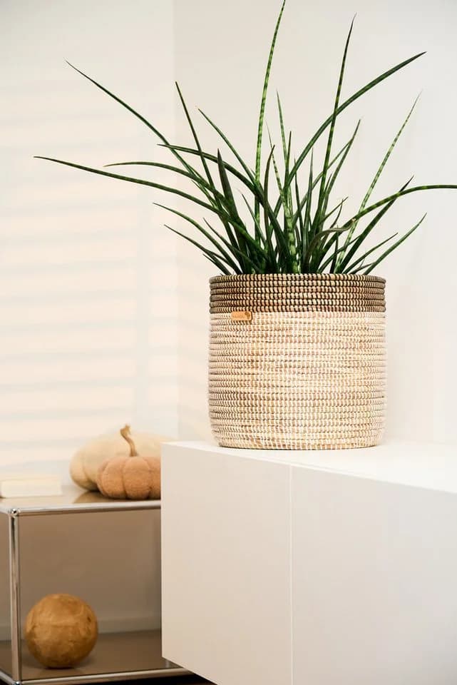 YAADU Allzweckkorb geflochtener Aufbewahrungskorb Beige - Bild 5
