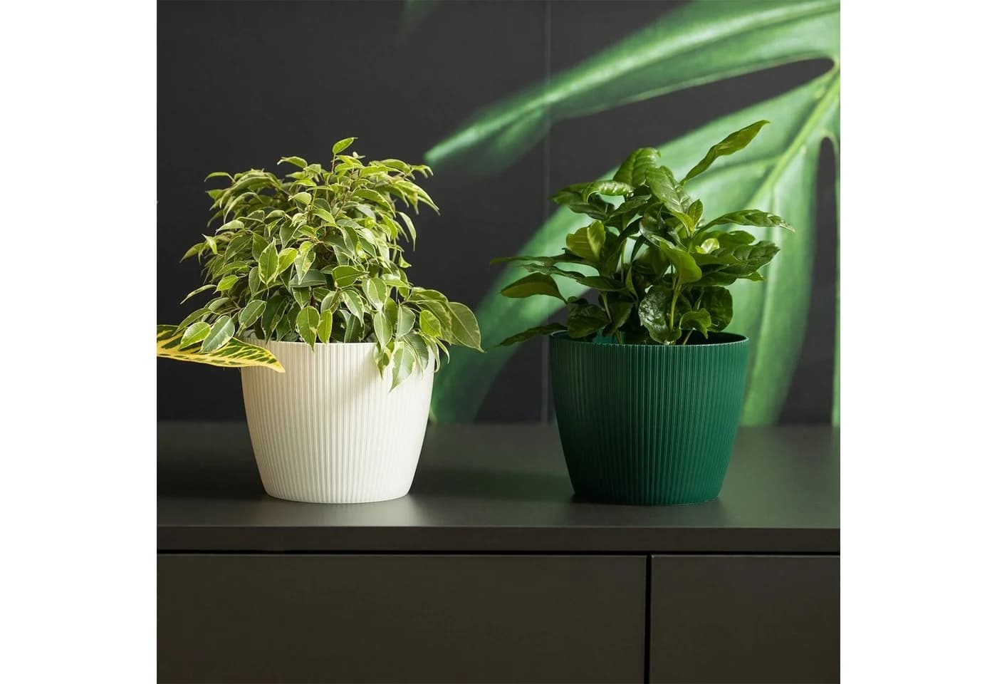 KAGM Übertopf Pflanztopf Grün Rillenoptik UV-beständig Kunststoff - Bild 3